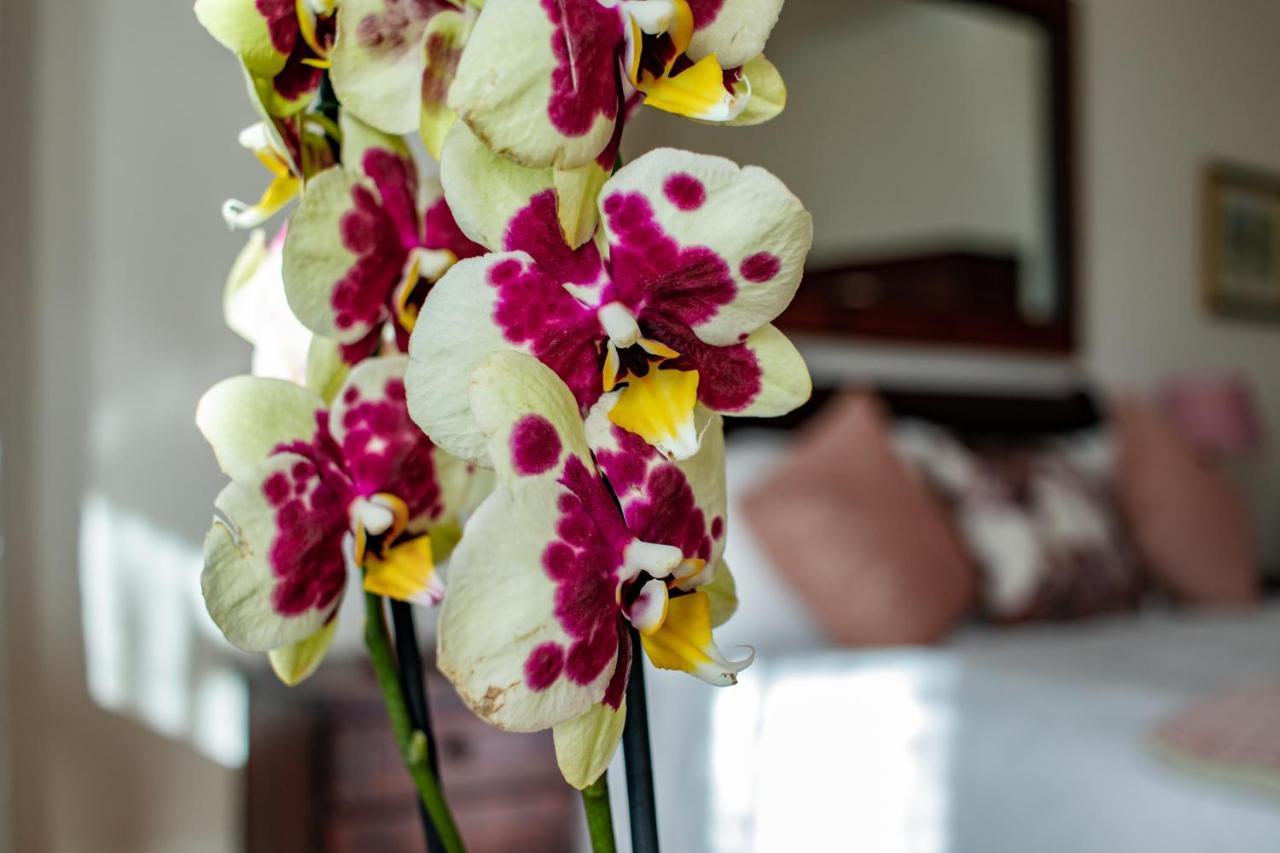 Carmichael House Boutique Hotel Cape Town Dış mekan fotoğraf