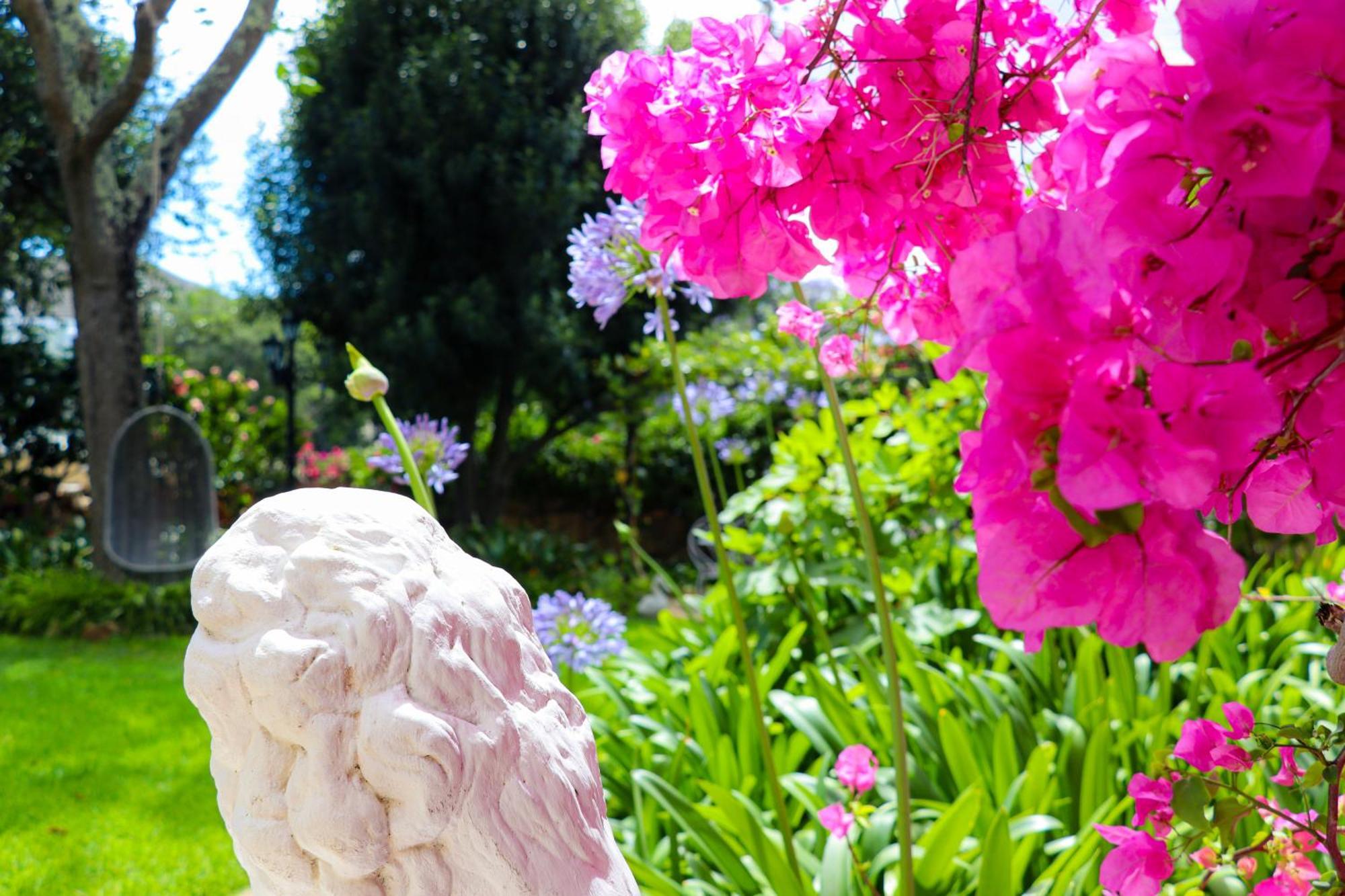 Carmichael House Boutique Hotel Cape Town Dış mekan fotoğraf