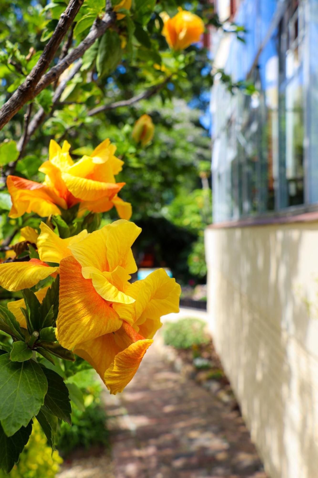 Carmichael House Boutique Hotel Cape Town Dış mekan fotoğraf